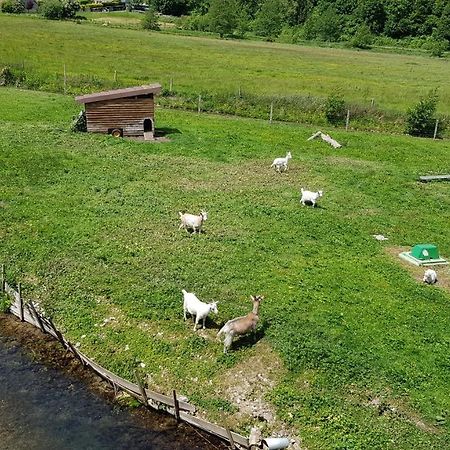 L Ancien Moulin A Grains Bed & Breakfast Valmont  Екстериор снимка